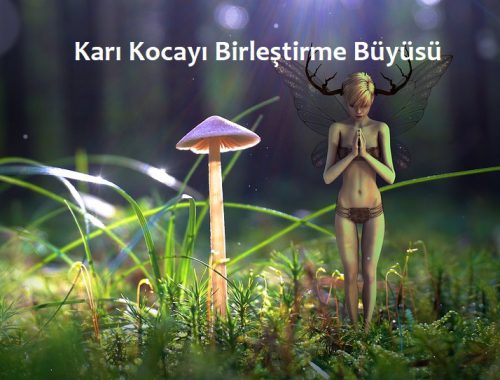 Karı Kocayı Birleştirme Büyüsü elifdemirel.com 0541 232 23 33